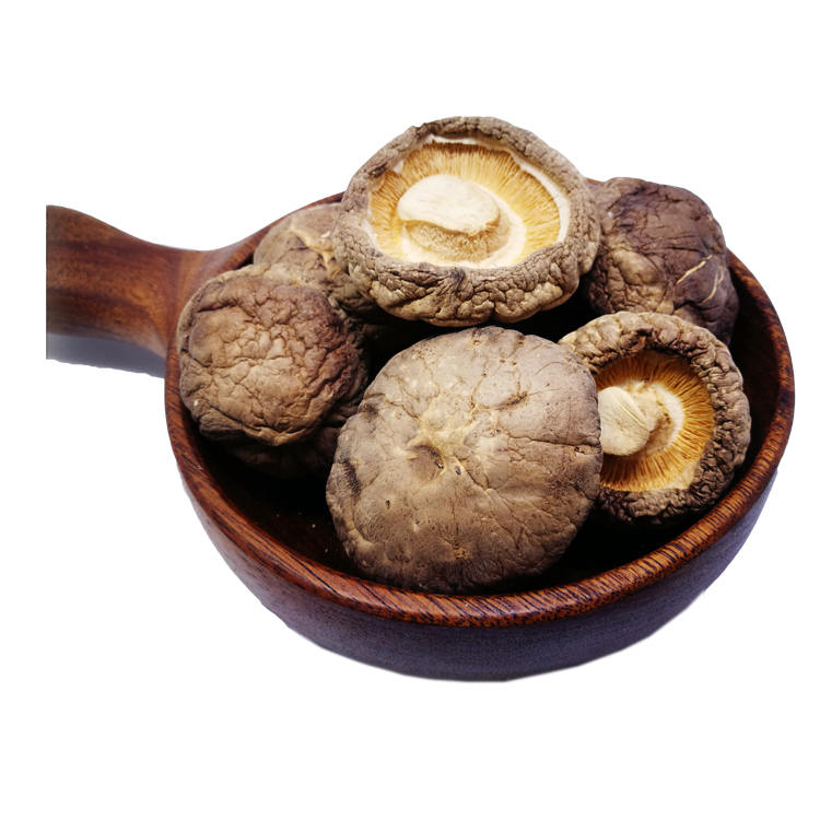 Wholesale cheap healthy dried shiitake mushroom