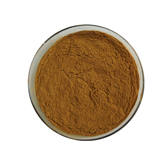 Organic Turkey Tail Extract Trametes Versicolor Extract Turkey Tail Powder Polysaccharides