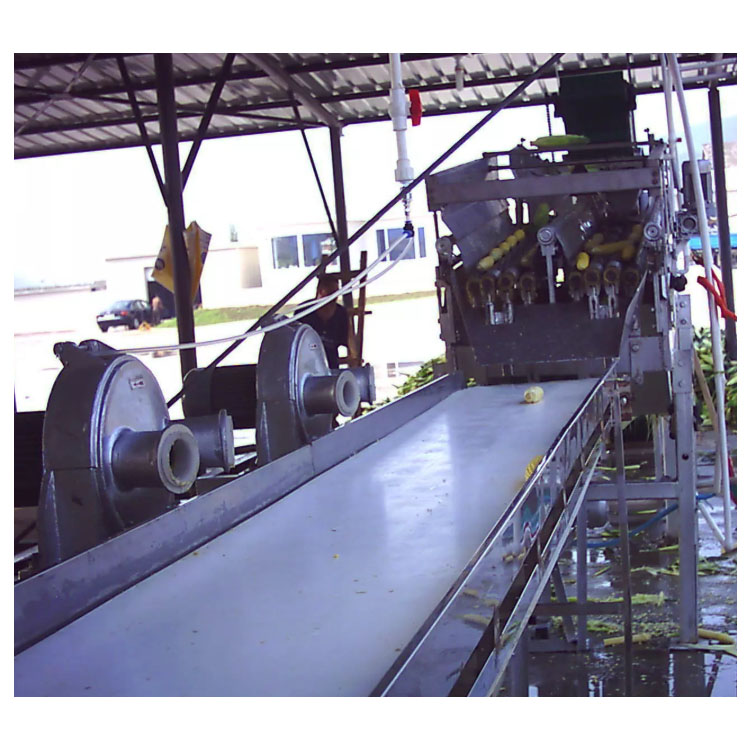 GYJL-2020 sweet corn peeling machine