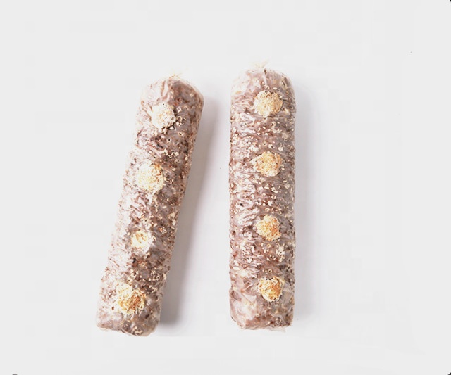 Семена грибов Shiitake в продаже