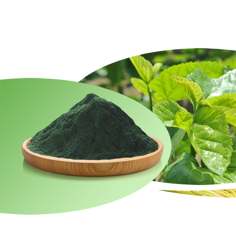 Free Sample Mulberry Leaf Extract 15% 95% Sodium Copper Chlorophyllin / Super Chlorophyll Powder In Stock