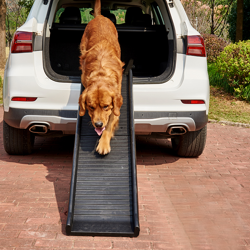 adjustable long non slip big tall old dogs pets stair steps outdoor foldable car dog ramp ladder