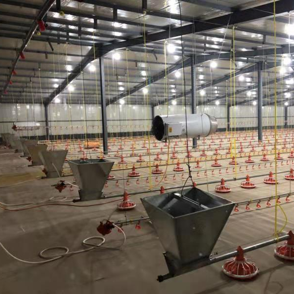 water line and feeding line (poultry farming equipment)