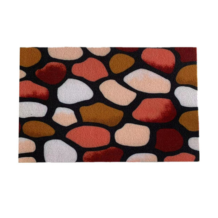 DONGWO Funny Welcome Colorful Print Doormats with Anti-Slip Backing Doormats Novelty Gift Door Mats for The Entrance Way