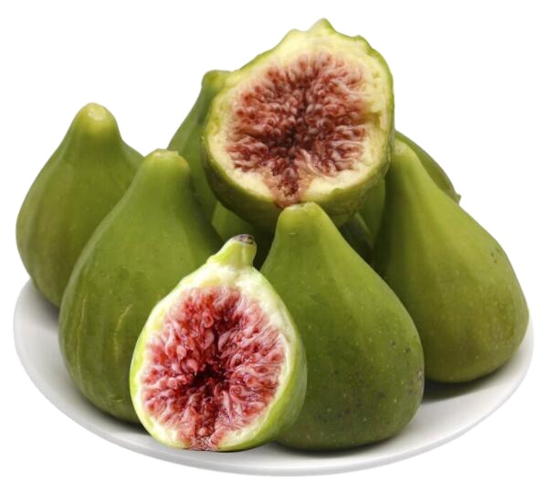 Organic Ficus carica fig fruit extract Fig extract