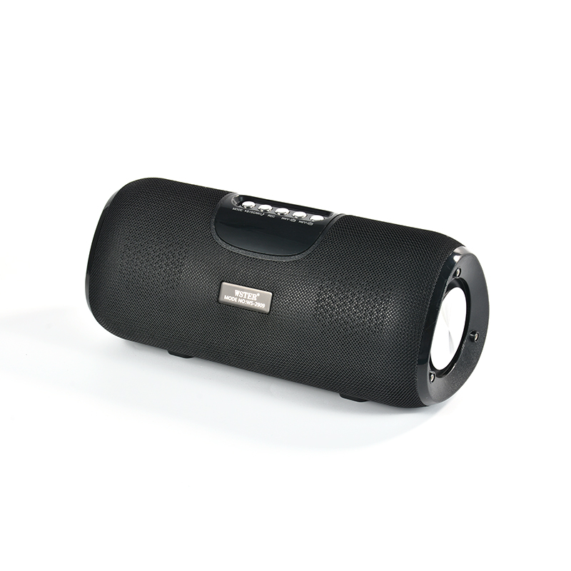 High quality Black WS2909 wireless speaker with fm radio speakerphone autodyne selfie BT5.0 TWS Speaker Audio music song