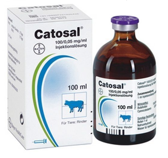 CATOSAL 10% Vitamin B12 100ml
