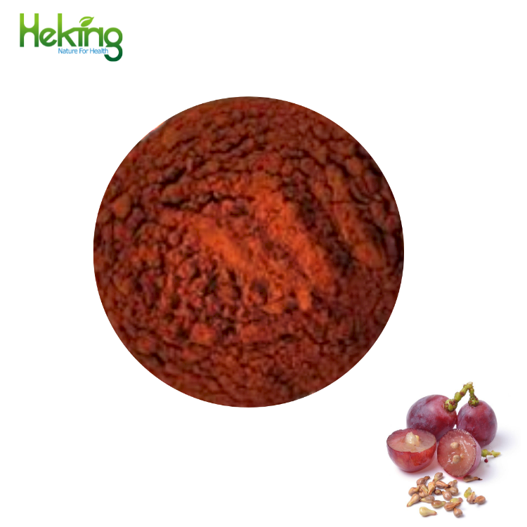 Bulk Pure Cosmetic Grade Skin whitenin Procyanidin Powder Proanthocyanidins 95% Grape Seed Extract