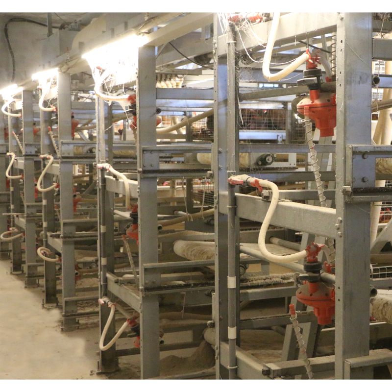BC Series H Type Automatic Broiler Chicken Feeding Cages For Sale