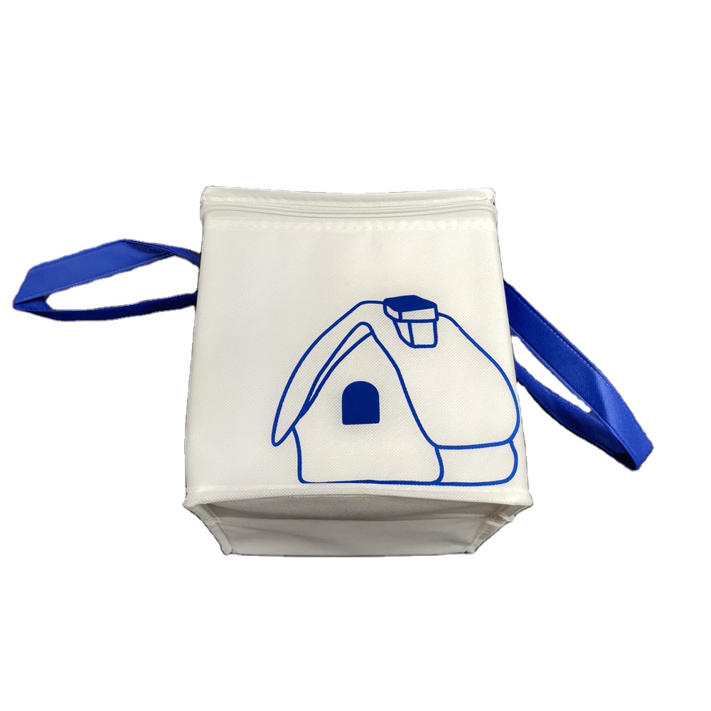 Waterproof small Insulated Thermal Food Box Delivery picnic Cooler Bag