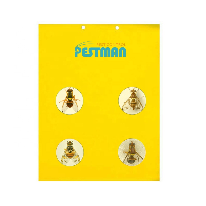 Pestman Fruit Fly феромоны ловушки насекомых феромоны ловушки