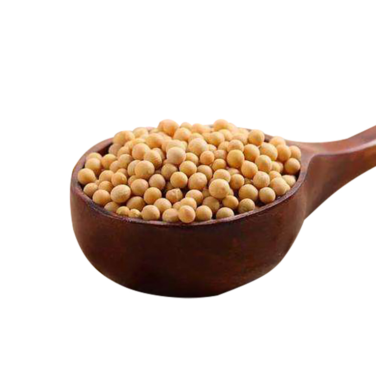 Wholesale Healthy Factory Supply Organic Soybeans