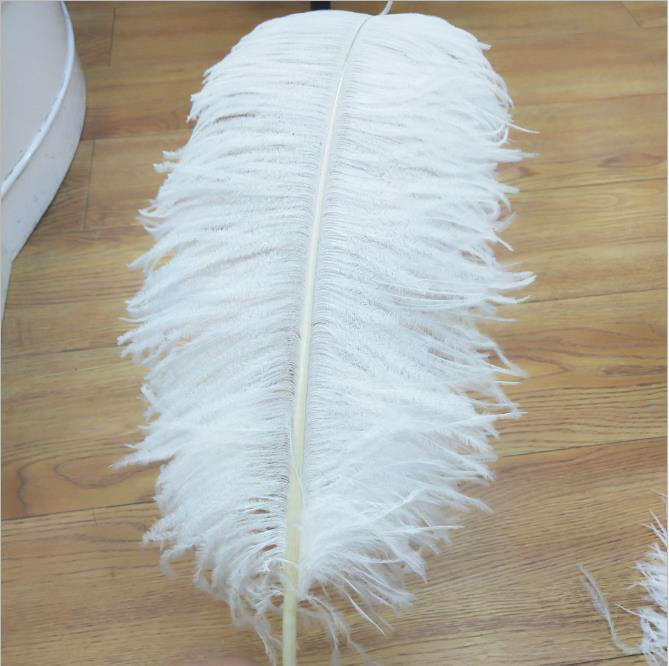 High Quality Ostrich Feather For Event Decoration