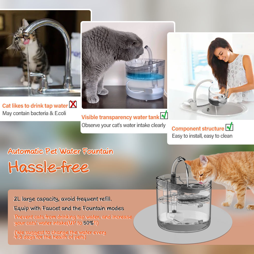 Transparent Pet Cat Water Fountain With Filter 2L Automatic Dog Water Dispenser Faucet Drinkers For Cats Drinking Bowl Feeder