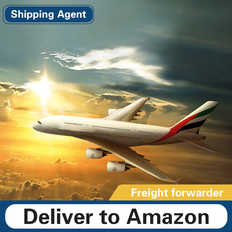 Top 10 international logistics company professional Sea Air freight forwarder shipping service from china to worldwide
