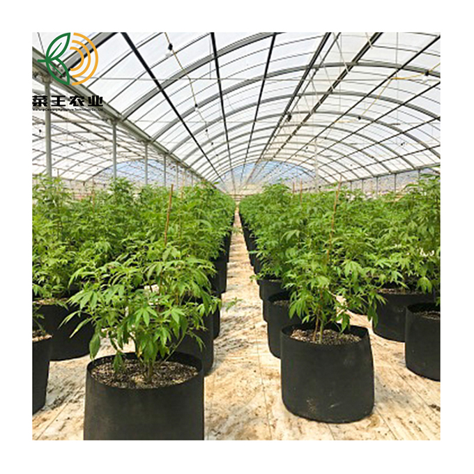 Automated blackout greenhouse light deprivation high Tunnel mushroom green houses hemp greenhouses