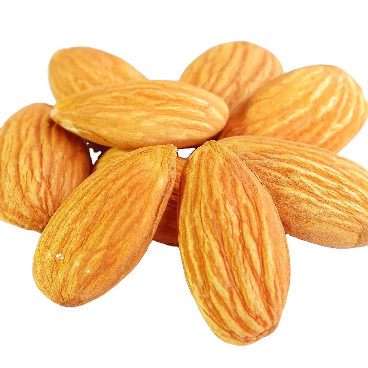 Sale Almonds - Almonds Raw Wholesale Nuts