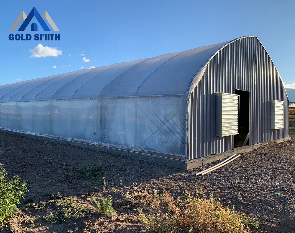 Single Span Arch Type Vegetable Greenhouse with 100% Blackout Curtain Light Deprivation System