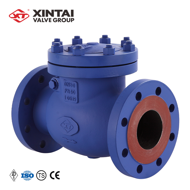 API6D DN80 40C немецкий DIN стандартный обратный клапан низкого давления WCB поворотного типа, используемый в паровой системе