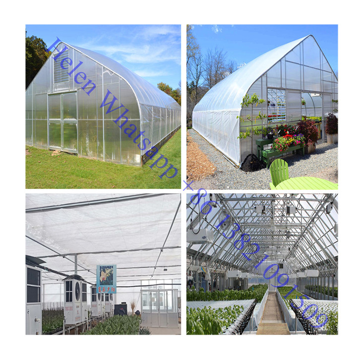 Polycarbonate farm 8*30M Agricultural Plastic Film Greenhouse