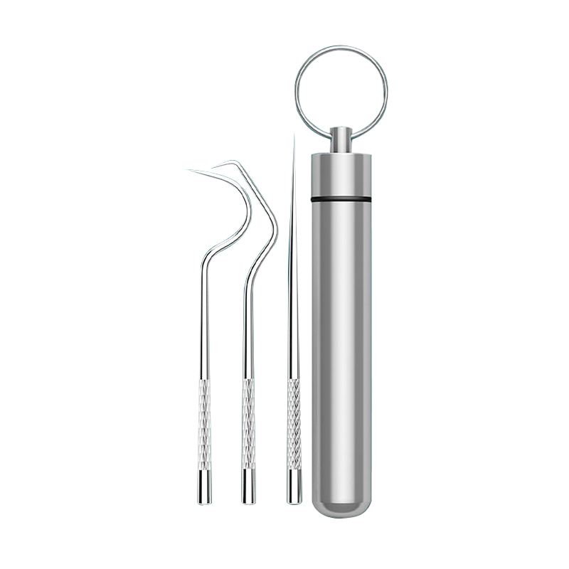 Hot selling multifunctional reusable toothpick set and outdoor portable stainless steel toothpick