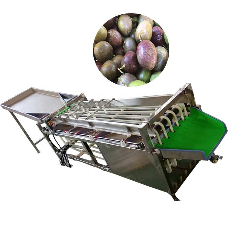 Sorting Machine For Fruit Citrus Dates Sorting Machine