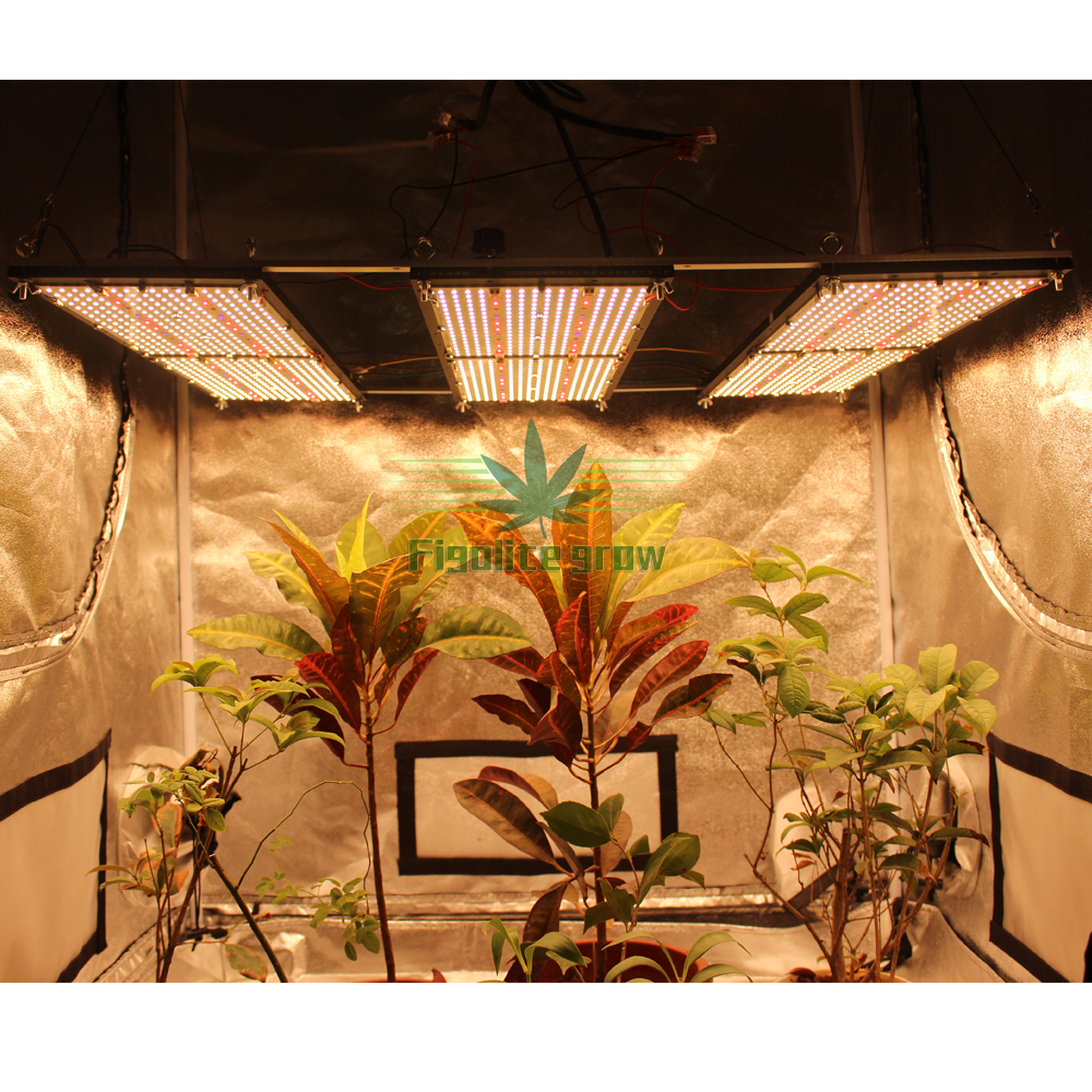 600 Вт V4 samsung плата lm301h led grow light с УФ ИК-переключателем управления