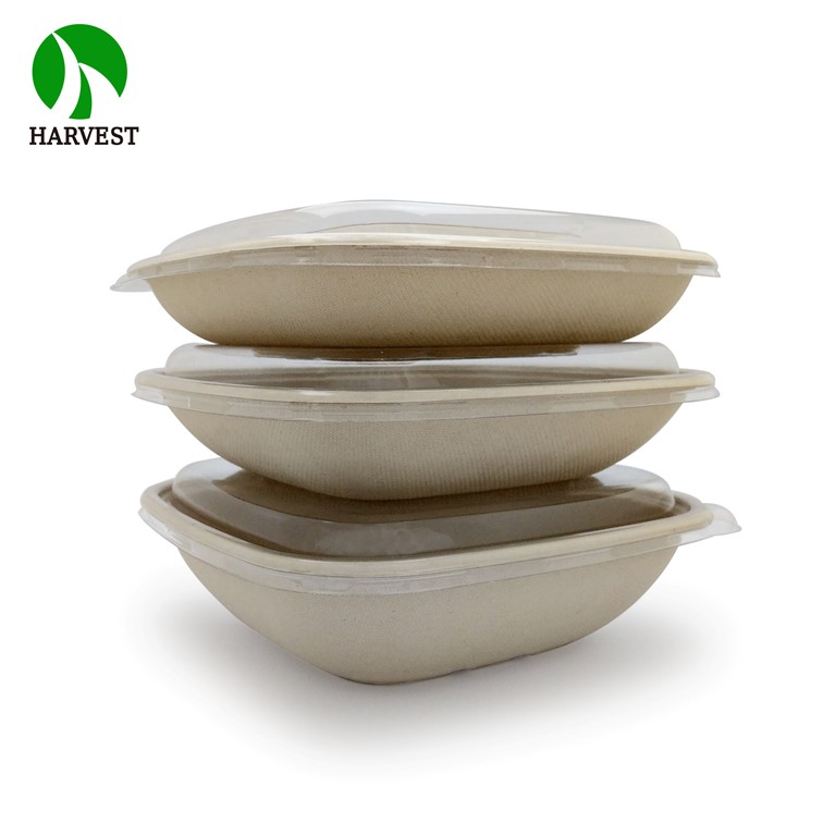 Disposable biodegradable microwavable bagasse take-away food container