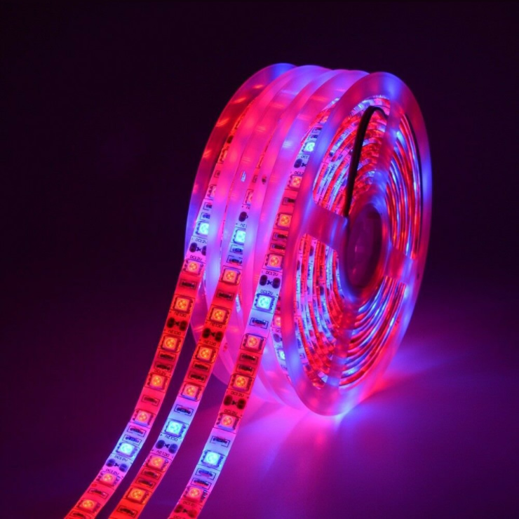 12v smd 5050 красный синий 3:1 4:1 5:1 тепличные Гриб водонепроницаемый растений СИД растет свет полосы