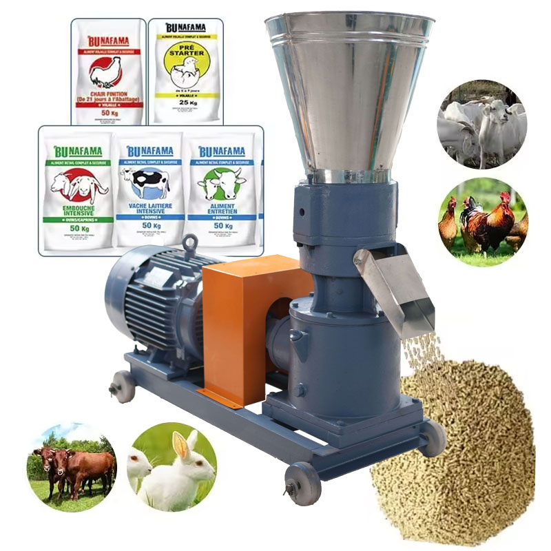High Quality Pelletizer Feed Processing Making Mini Animal Feed Pellet Machine Spare Parts
