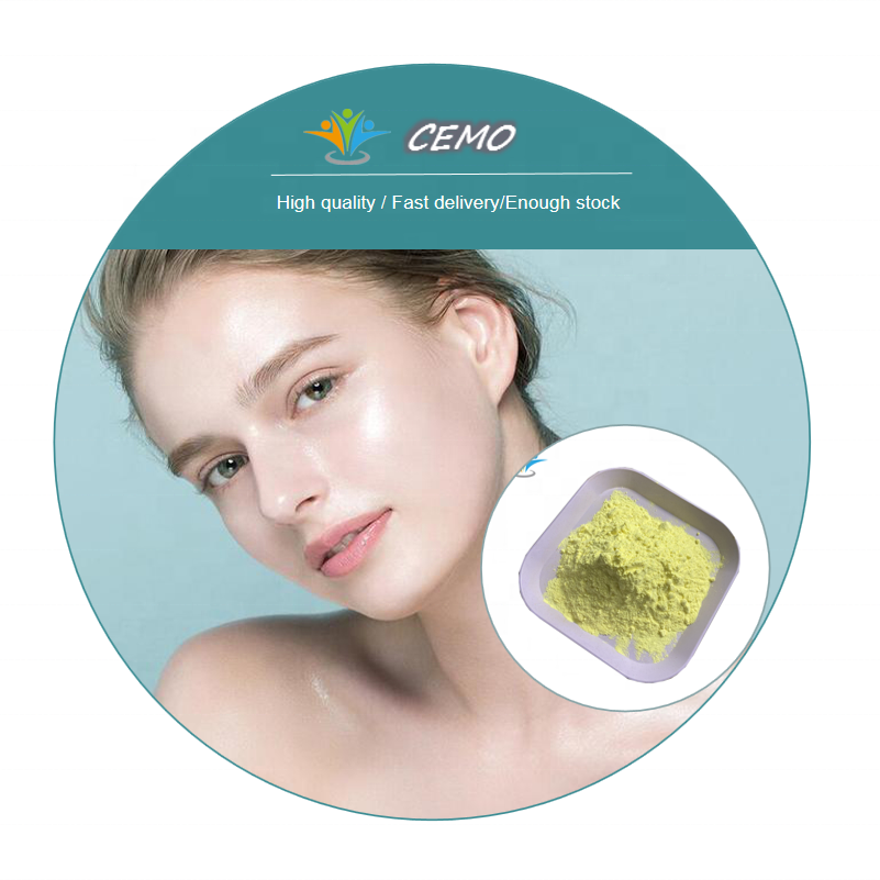 Chinese Factory CAS 303-98-0 Coenzyme Q10 Ubidecarenone in stock