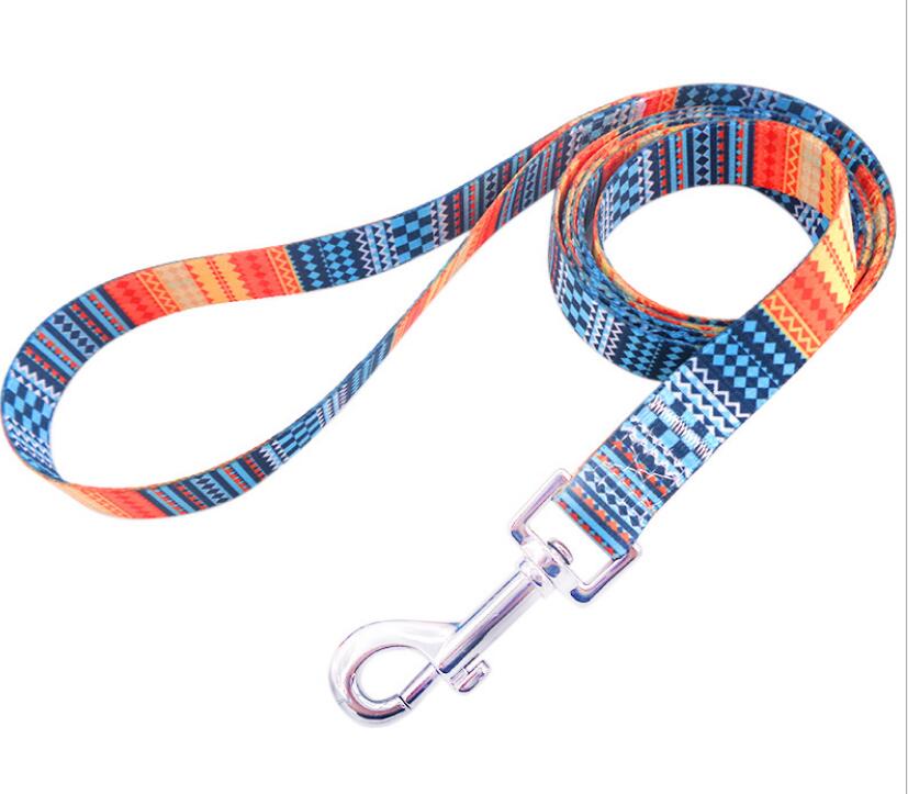 New Product Strong Nylon Dog Leash Printing Floral Pattern Put In The Pocket