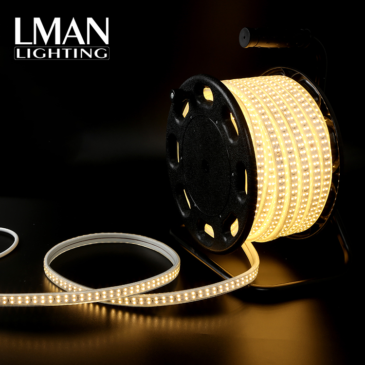 High Lumen 110V 127V 220V 260V Double Line Rope Lamp IP67 Waterproof 180leds/m 2835 Led Strip Light
