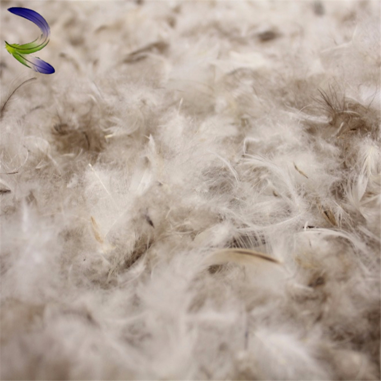 Good Price Gray Lightweight And Practical Washable Duck goose Down Pillow Feather for Warm Supplies