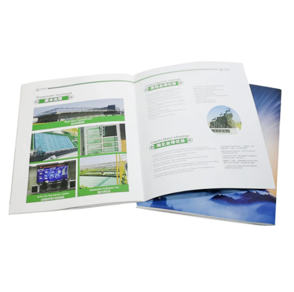 Custom Full Color Printing Booklet/Leaflet/Menu Catalog Printing