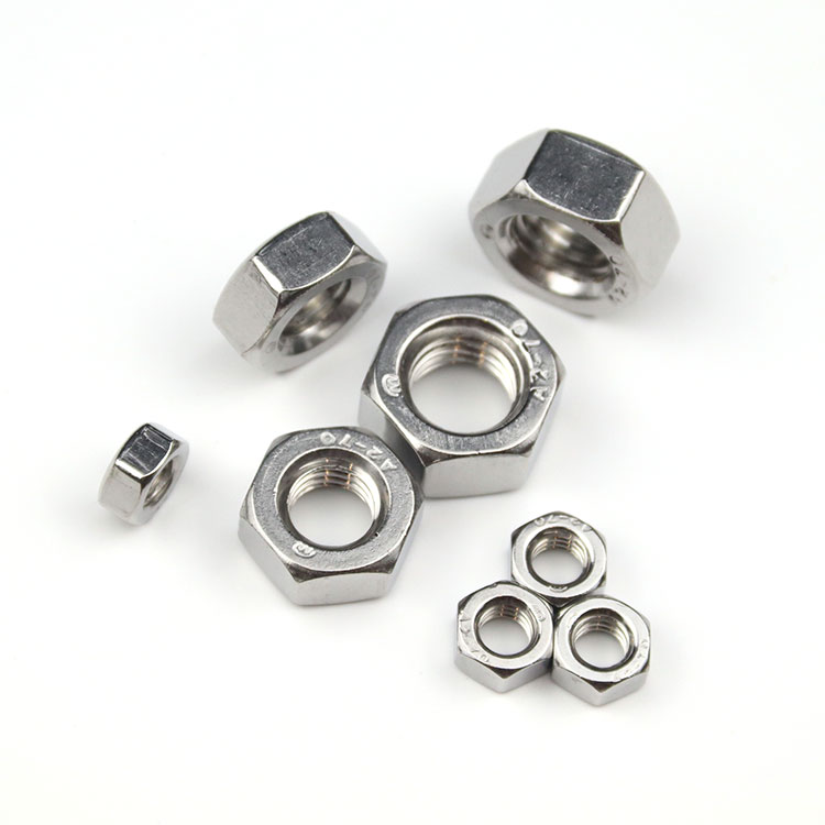 Stainless Steel Special Hex Nuts For Type Screws And Lock Round Screws And Nuts Ss Nut