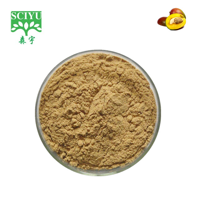 supply bulk mango seed extract powder