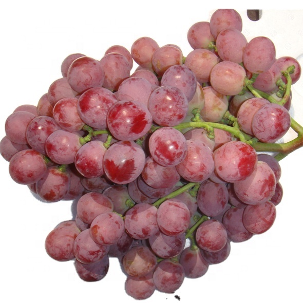 Fresh Red Globe Grapes