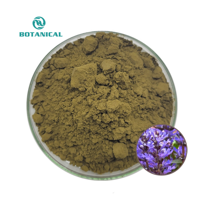 B.C.I Supply Natural Pure 2% 10% turkesterone ajuga turkestanica extract