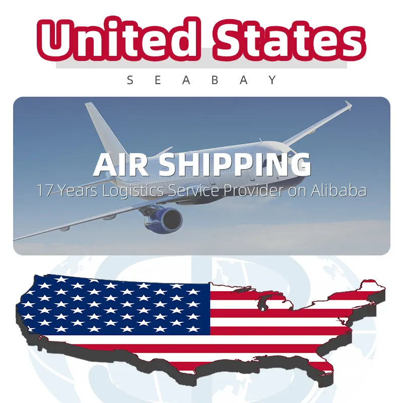 Air Cargo Service Freight Forwarder Door To Door Delivery Service From China To USA