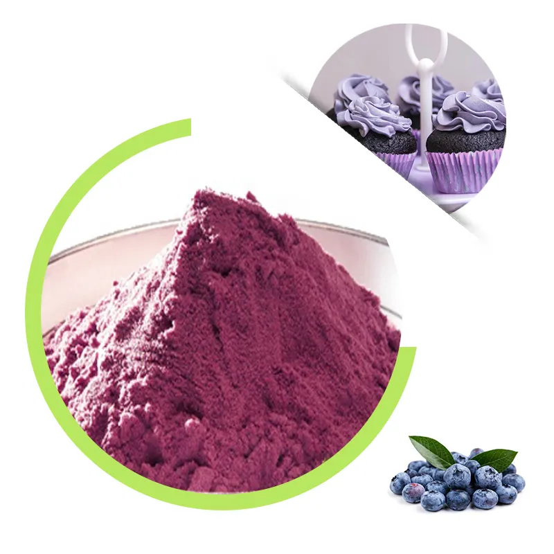 Blueberry concentrate juice powder, wholesale wild fresh blueberry juice powder