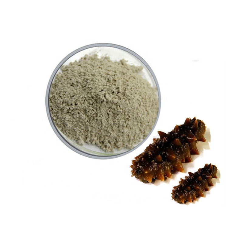 Anti-Aging Health Care Supplement Sea Cucumber Peptide Powder for Immunoregulation