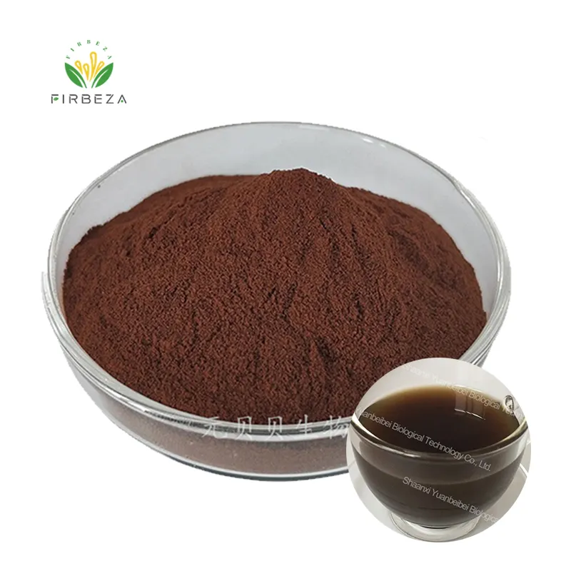 Pure Natural Organic Water Soluble Instant Puer Pu'er Tea Extract Powder