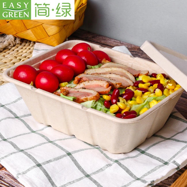 EASY GREEN Disposable Biodegradable Eco-friendly Microwave Safe Takeaway Food Container Pulp Bento Lunch Box