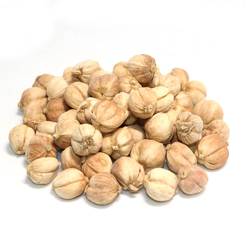 Dried natural Java Amomum Fruits White Cardamom amomum cardamomum