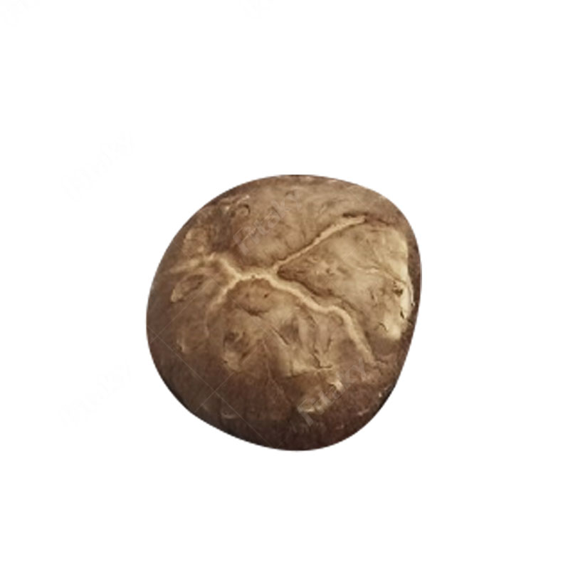 Высококачественные сушеные овощи Shiitake Pilze, сухие грибы Shiitake