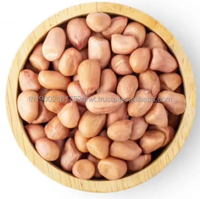 Peanuts Raw Product Agricultural Exporter Peanut Seeds 100% Natural Source Grain Food Products Manufacturers
