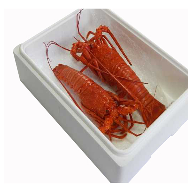 Japanese mie prefecture hama steamed spiny lobster dish shrimps seafood