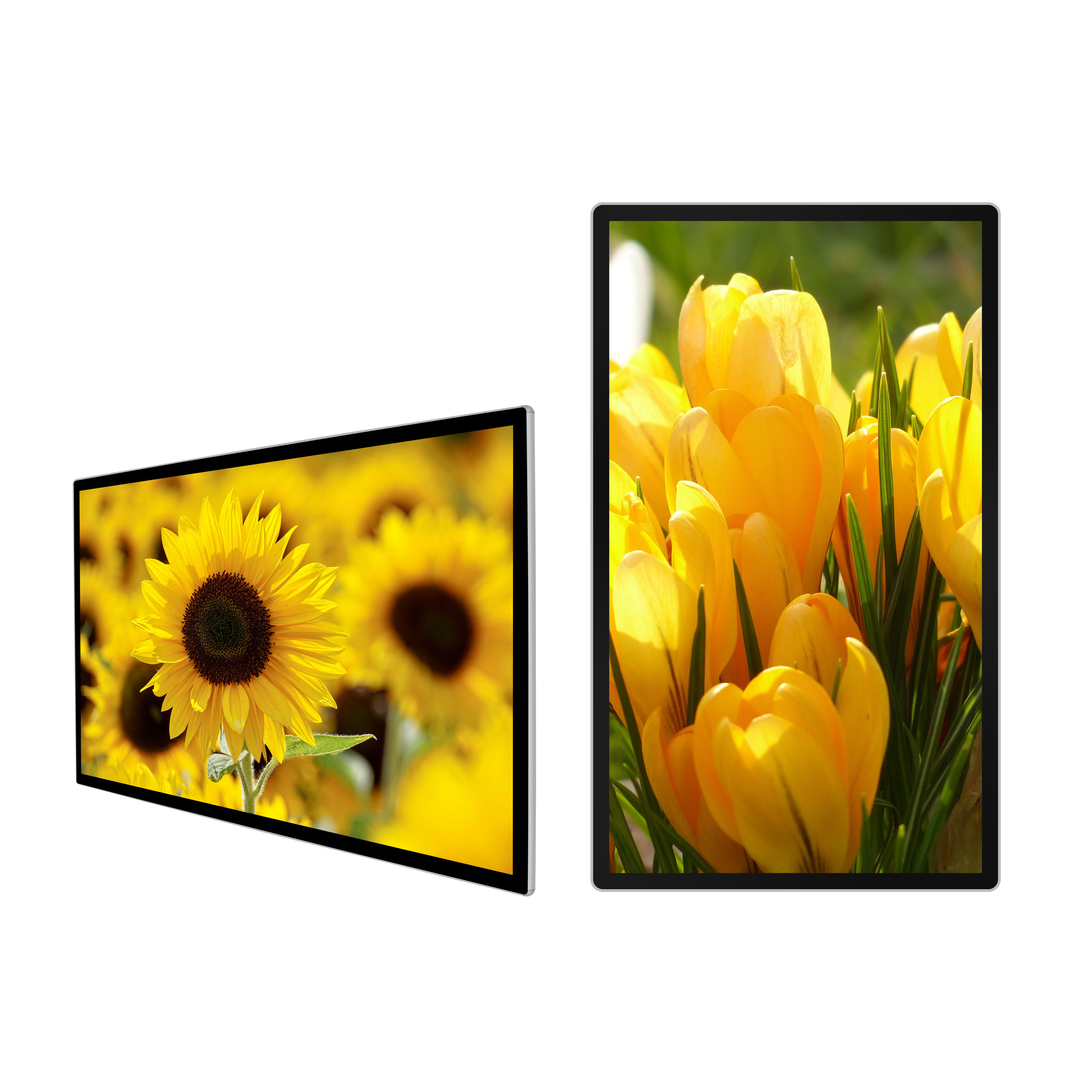 32 '' / 42'' / 49'' / 55'' / 65 '' / 75'' / 84 ''цифровая вывеска/рекламный дисплей/мультисенсорный киоск