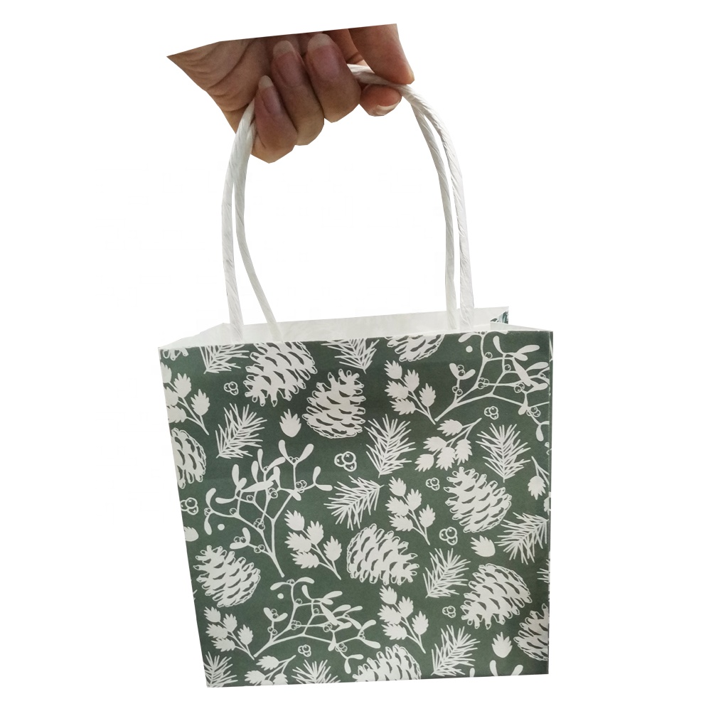 White Kraft Shopping Paper Bag with Handle Cosmetic Paper Bag